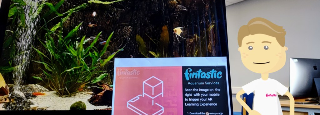 Fintastic Aquariums interactive fish tank in use